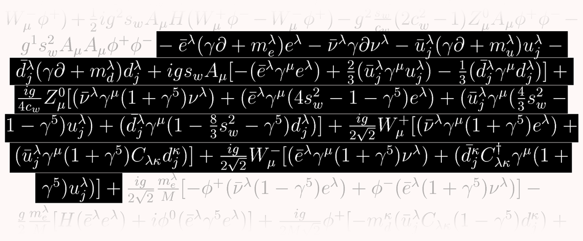 A portion of the Lagrangian standard model transcribed by T.D. Gutierrez.