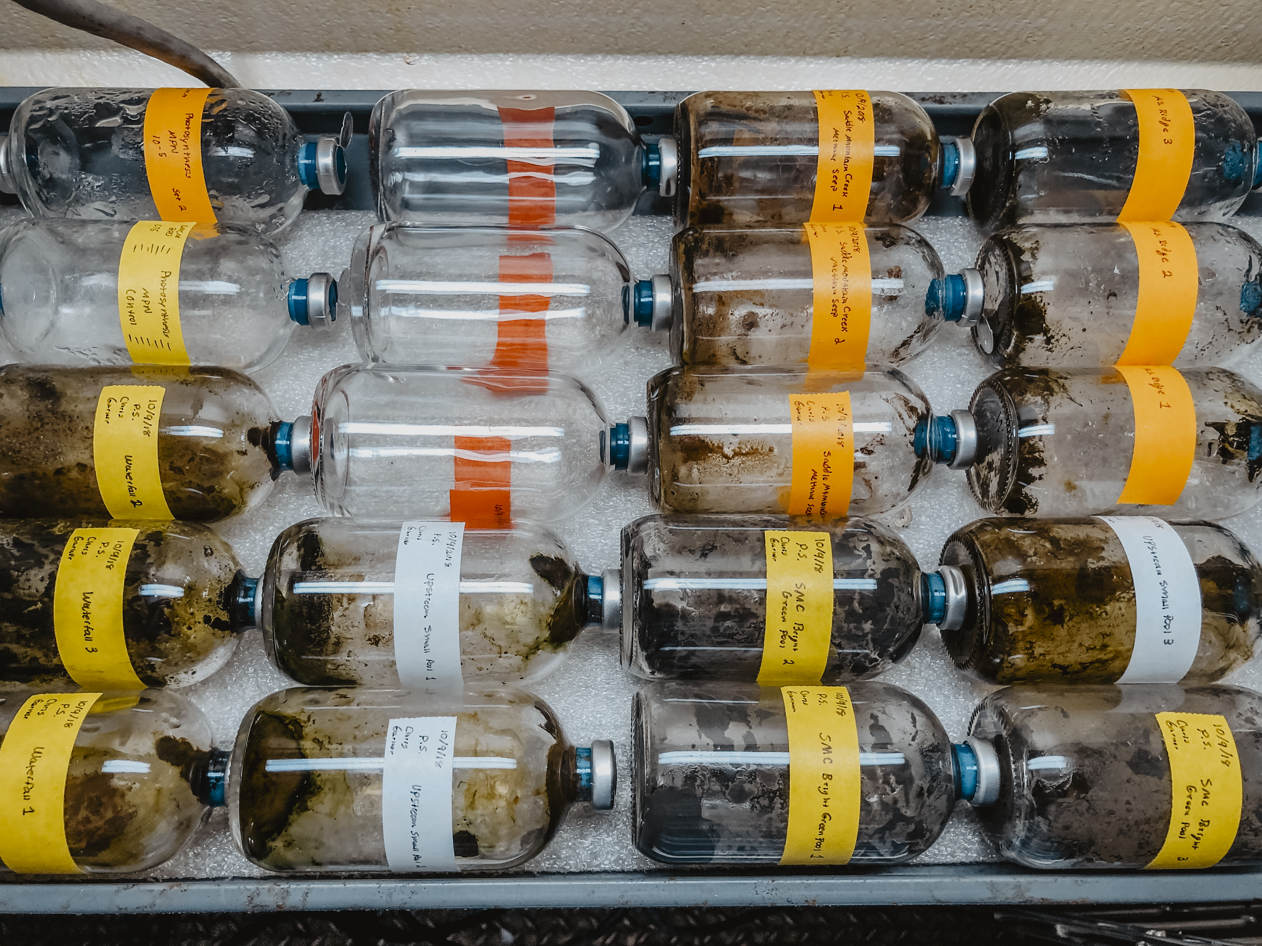 Glass bottles containing sediment samples incubating with methane and oxygen.