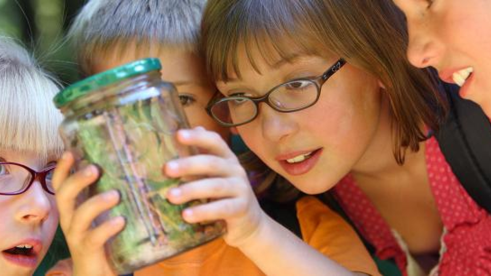 Kids look at insects in a jar
