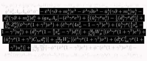 A portion of the Lagrangian standard model transcribed by T.D. Gutierrez.